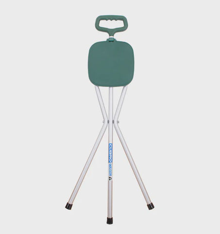 Seat Cane