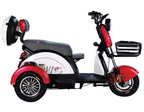TM4 (TCAT) - ELECTRIC MOBILITY PLUS TRICYCLE