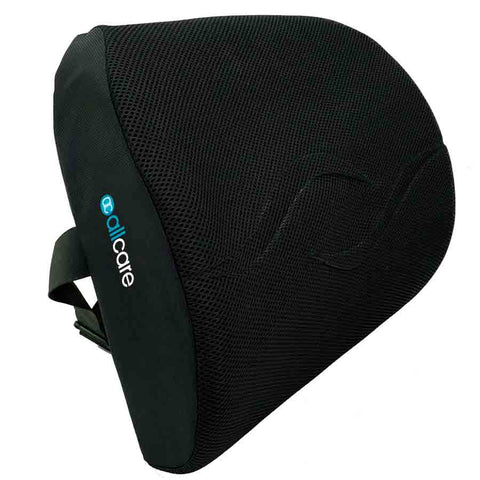 Back Cushion Deluxe