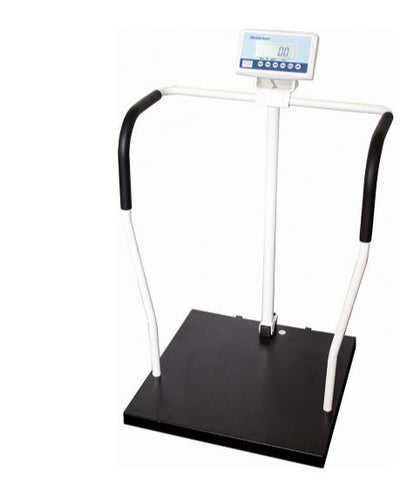 Professional Weight Scale