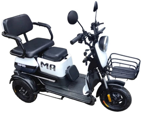 TM3 - ELECTRIC MOBILITY PLUS TRICYCLE